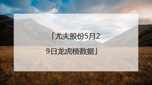 尤夫股份5月29日龙虎榜数据