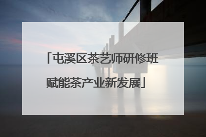屯溪区茶艺师研修班赋能茶产业新发展