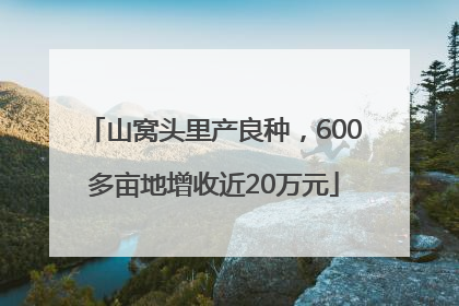 山窝头里产良种，600多亩地增收近20万元