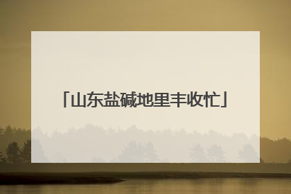 山东盐碱地里丰收忙