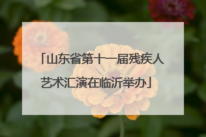 山东省第十一届残疾人艺术汇演在临沂举办