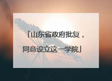 山东省政府批复，同意设立这一学院