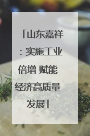 山东嘉祥：实施工业倍增 赋能经济高质量发展