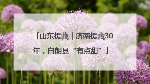山东援藏｜济南援藏30年，白朗县“有点甜”