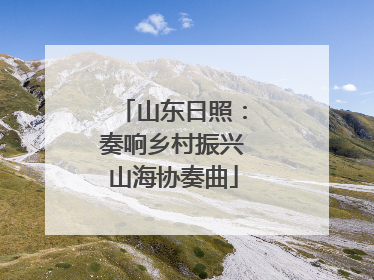 山东日照：奏响乡村振兴山海协奏曲
