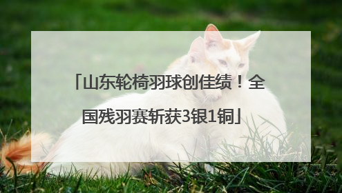 山东轮椅羽球创佳绩！全国残羽赛斩获3银1铜
