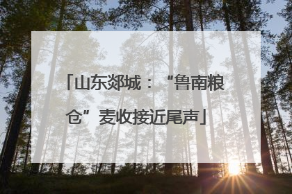山东郯城：“鲁南粮仓”麦收接近尾声