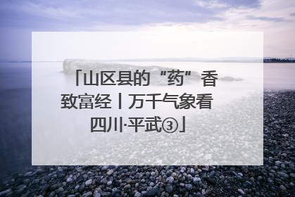 山区县的“药”香致富经丨万千气象看四川·平武③