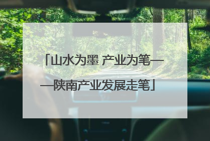 山水为墨 产业为笔——陕南产业发展走笔