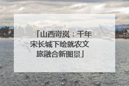 山西岢岚：千年宋长城下绘就农文旅融合新图景