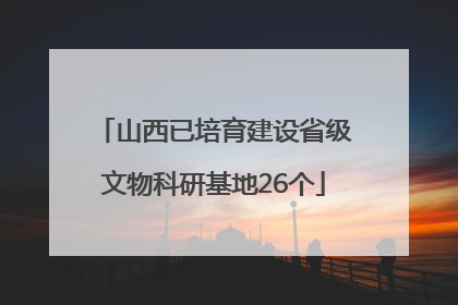山西已培育建设省级文物科研基地26个
