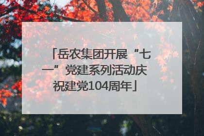 岳农集团开展“七一”党建系列活动庆祝建党104周年