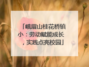 峨眉山桂花桥镇小：劳动赋能成长，实践点亮校园