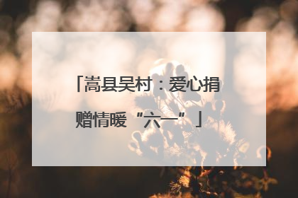 嵩县吴村：爱心捐赠情暖“六一”