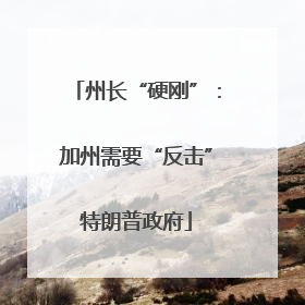 州长“硬刚”：加州需要“反击”特朗普政府