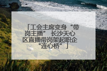 工会主席变身“带岗主播” 长沙天心区直播带岗架起职企“连心桥”