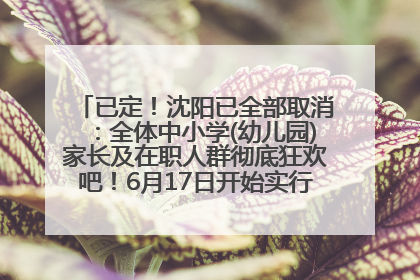 已定！沈阳已全部取消：全体中小学(幼儿园)家长及在职人群彻底狂欢吧！6月17日开始实行！18岁及以上可参加25年学历提升报名！