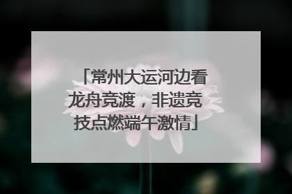 常州大运河边看龙舟竞渡，非遗竞技点燃端午激情