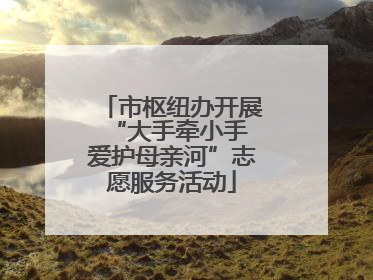 市枢纽办开展“大手牵小手 爱护母亲河”志愿服务活动