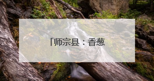师宗县：香葱产业一路鲜