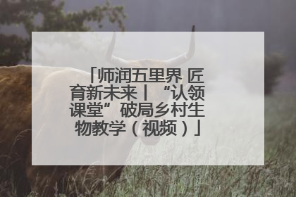 师润五里界 匠育新未来丨“认领课堂”破局乡村生物教学（视频）