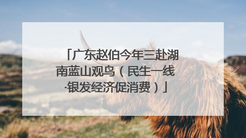 广东赵伯今年三赴湖南蓝山观鸟（民生一线·银发经济促消费）