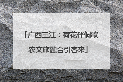 广西三江：荷花伴侗歌 农文旅融合引客来
