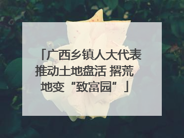 广西乡镇人大代表推动土地盘活 撂荒地变“致富园”