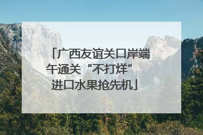 广西友谊关口岸端午通关“不打烊” 进口水果抢先机