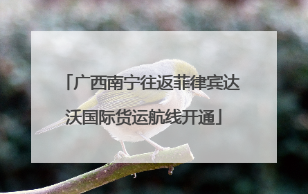 广西南宁往返菲律宾达沃国际货运航线开通