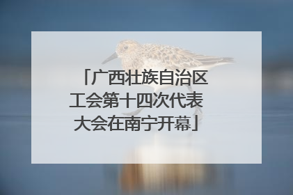 广西壮族自治区工会第十四次代表大会在南宁开幕