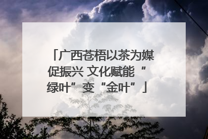 广西苍梧以茶为媒促振兴 文化赋能“绿叶”变“金叶”