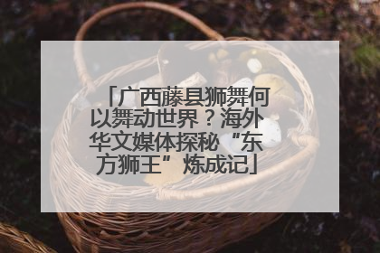 广西藤县狮舞何以舞动世界？海外华文媒体探秘“东方狮王”炼成记