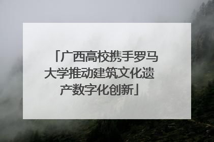 广西高校携手罗马大学推动建筑文化遗产数字化创新