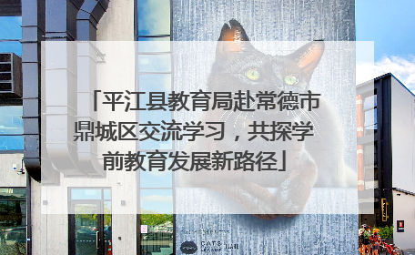 平江县教育局赴常德市鼎城区交流学习，共探学前教育发展新路径