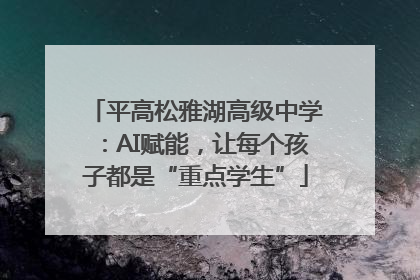 平高松雅湖高级中学：AI赋能，让每个孩子都是“重点学生”