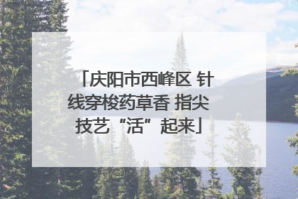 庆阳市西峰区 针线穿梭药草香 指尖技艺“活”起来