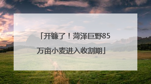 开镰了！菏泽巨野85万亩小麦进入收割期