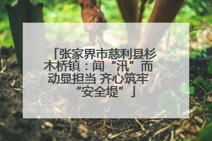 张家界市慈利县杉木桥镇：闻“汛”而动显担当 齐心筑牢“安全堤”