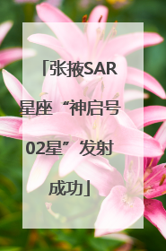 张掖SAR星座“神启号02星”发射成功