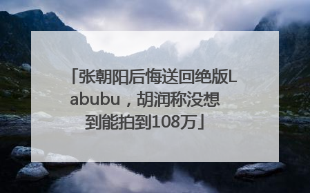 张朝阳后悔送回绝版Labubu，胡润称没想到能拍到108万