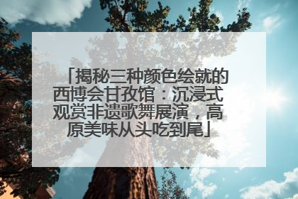 揭秘三种颜色绘就的西博会甘孜馆：沉浸式观赏非遗歌舞展演，高原美味从头吃到尾