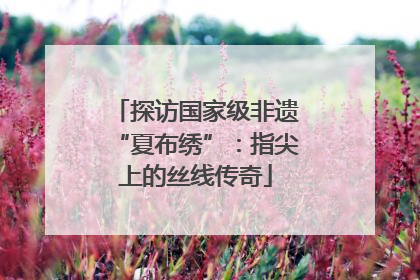探访国家级非遗“夏布绣”：指尖上的丝线传奇