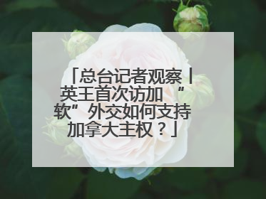 总台记者观察丨英王首次访加 “软”外交如何支持加拿大主权？