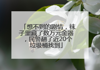 想不到的剧情，袜子里藏了数万元金器，民警翻了近20个垃圾桶找到