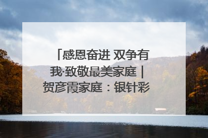 感恩奋进 双争有我·致敬最美家庭｜贺彦霞家庭：银针彩线绣出好日子