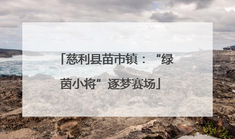 慈利县苗市镇：“绿茵小将”逐梦赛场