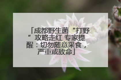 成都野生菌“打野”攻略走红 专家提醒：切勿随意采食，严重或致命