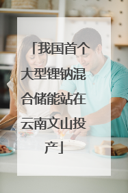 我国首个大型锂钠混合储能站在云南文山投产