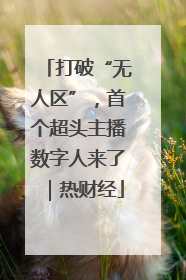打破“无人区”，首个超头主播数字人来了｜热财经